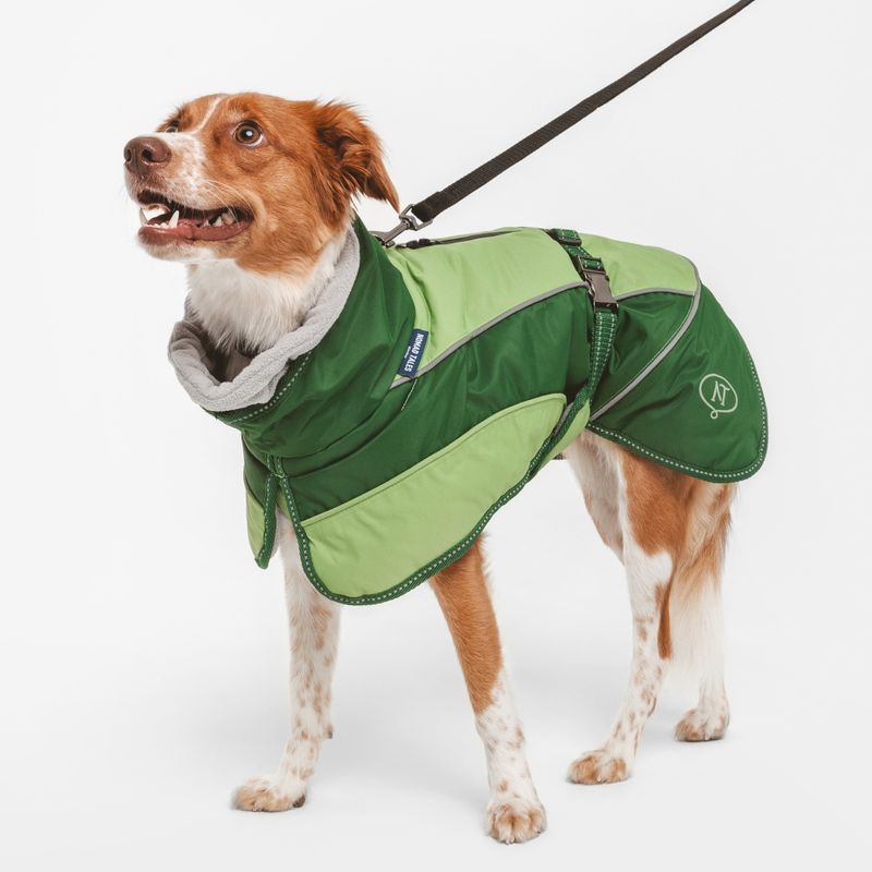 Nomad Tales Bloom Hundemantel Lush zu TOP-Preisen