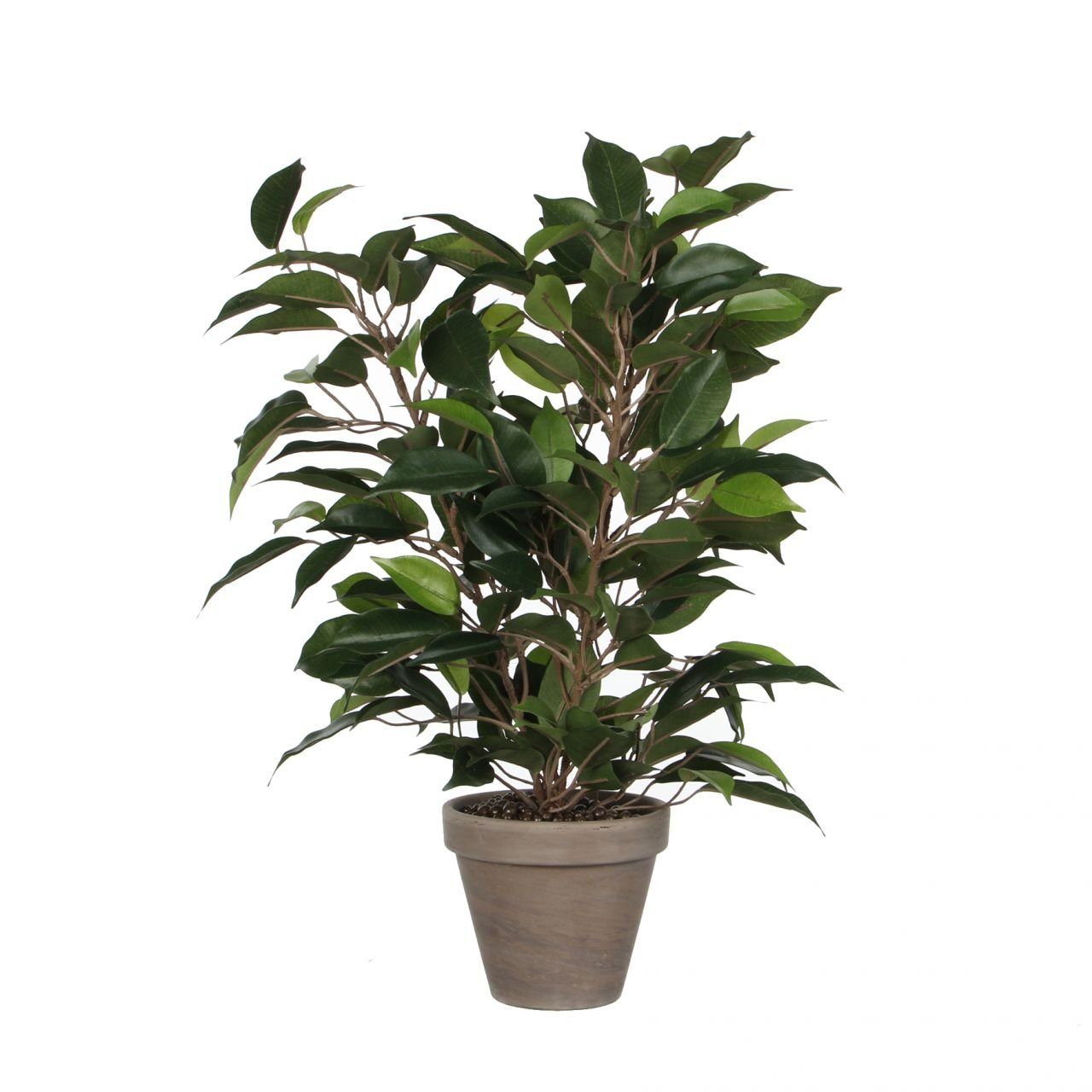 Kunstpflanze Mica Kunstpflanze Ficus Natasja grün im Topf 40 x, Mica Decorations