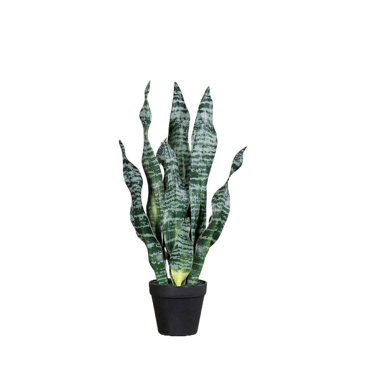Kunstpflanze Sanseveria Grün H53cm