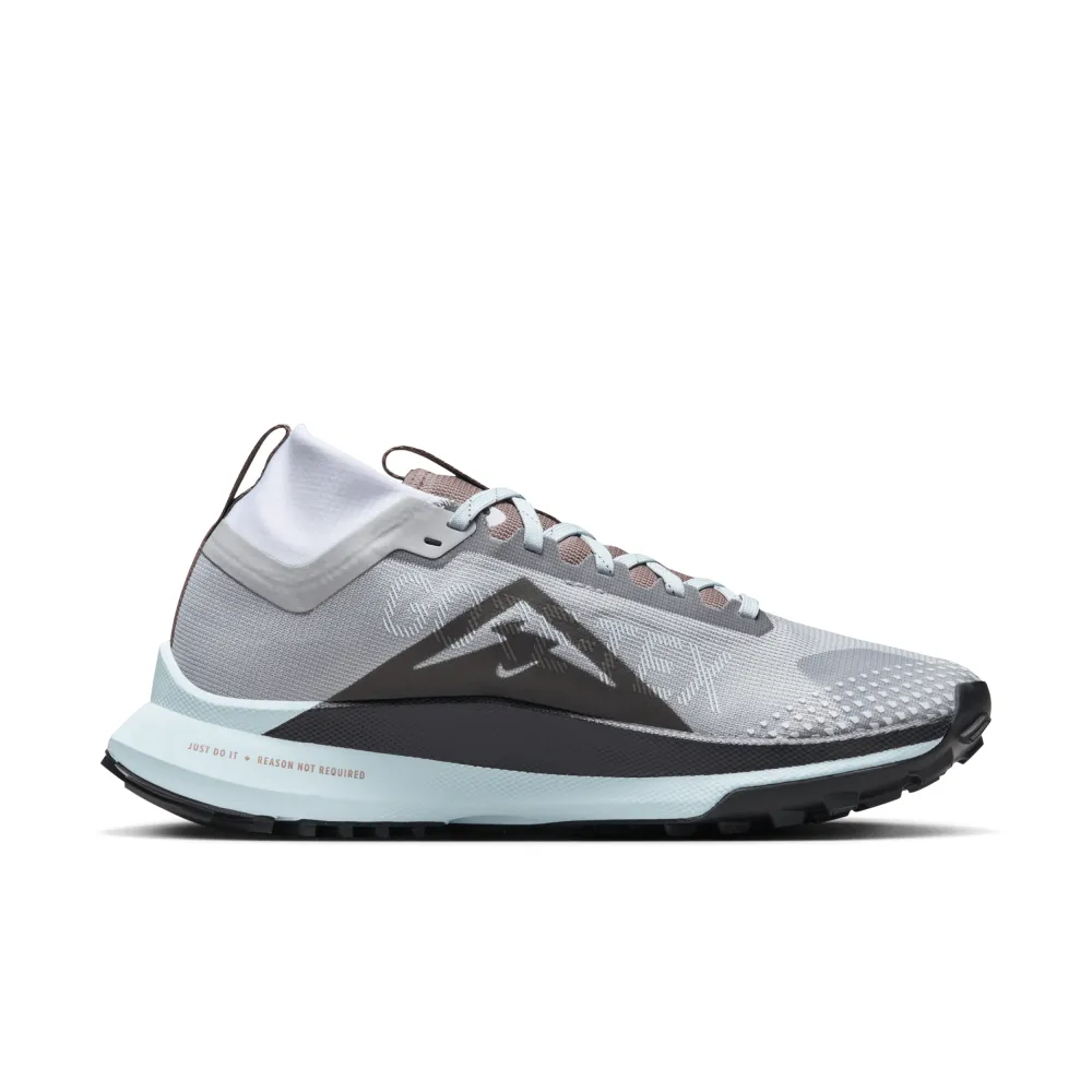 Nike Pegasus Trail 4 GORE TEX DJ7929 005 / grau