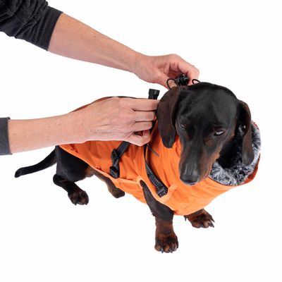 TIAKI Hundemantel mit Geschirr Arkon, orange