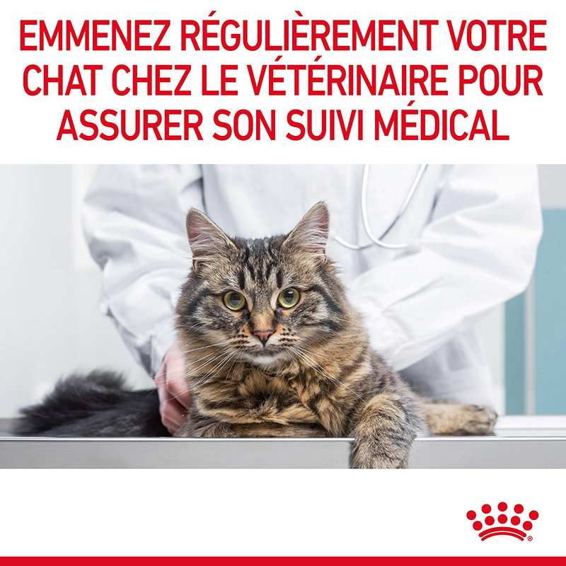 ROYAL CANIN Nassfutter ROYAL CANIN Hair & Skin 12x85g in Soße