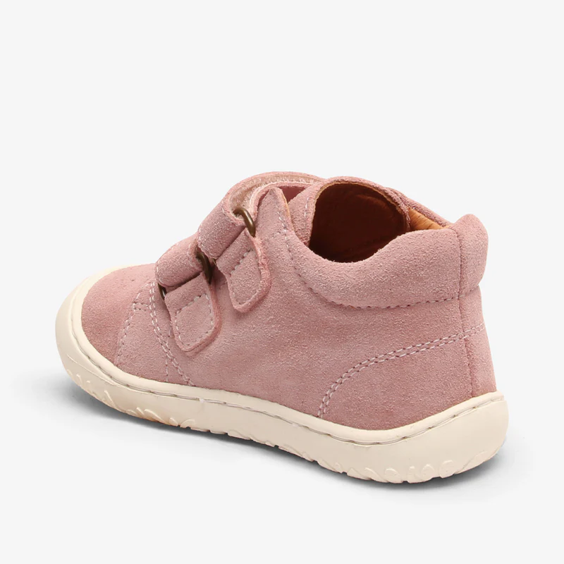 hale blush - Rose