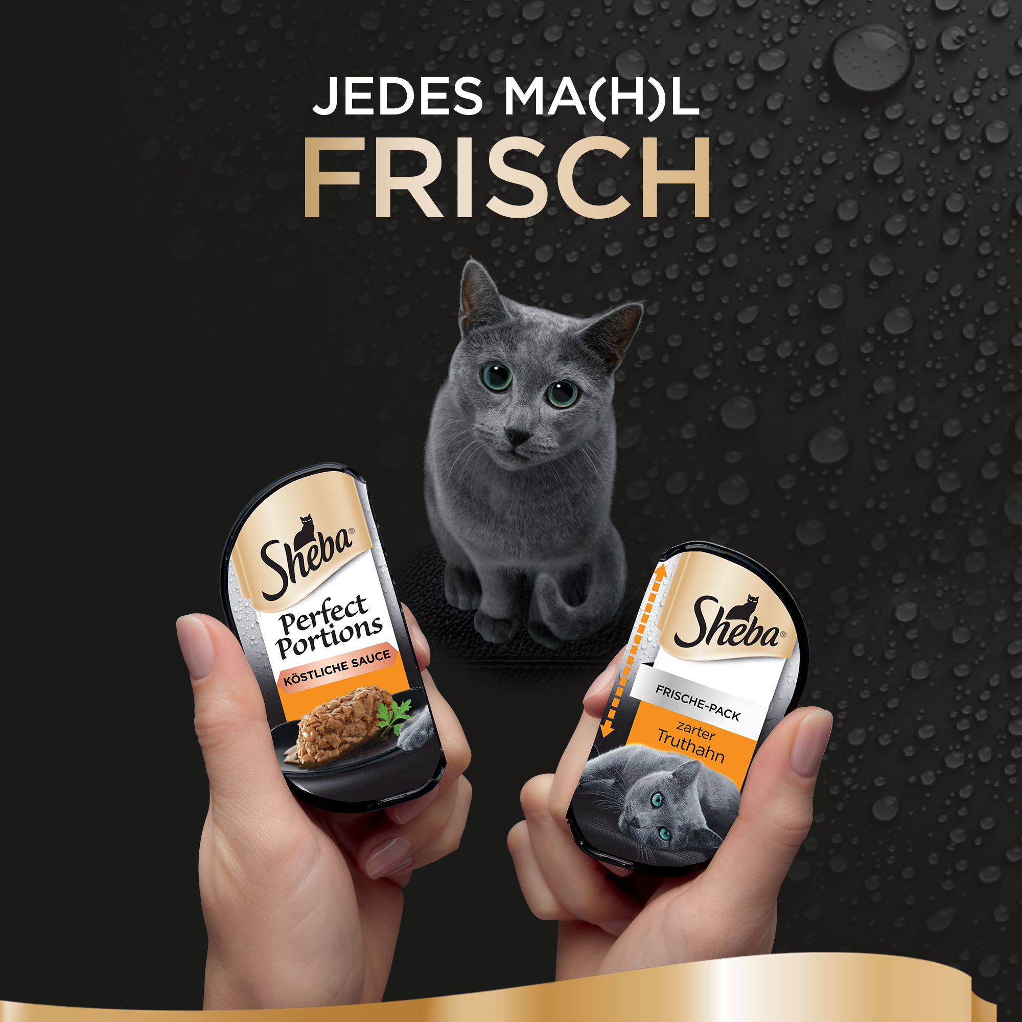 Sheba Nassfutter Sheba Perfect Portions Sauce 3x2x37,5g Truthahn