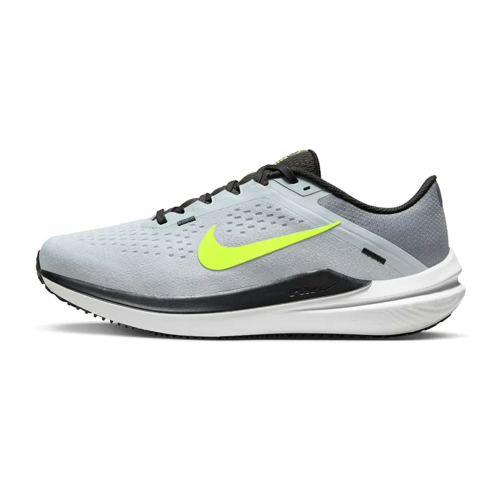 Nike Winflo 10 DV4022-007 / grau
