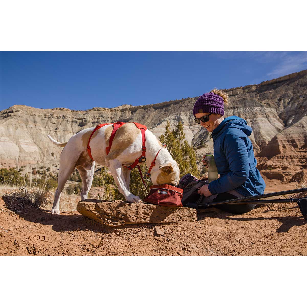 Ruffwear Geschirr Web Master Red Sumac kaufen bei ZooRoyal