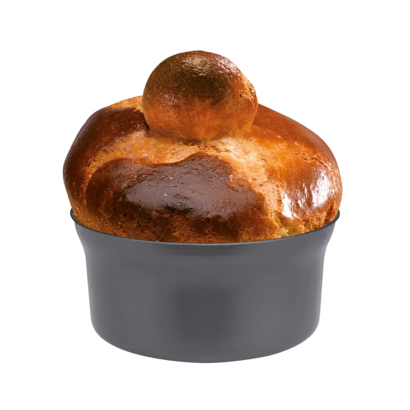 MOULE PETRIN CS4200