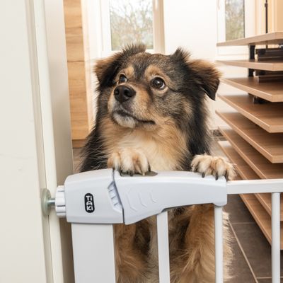 TIAKI Weißes Hundegitter mit 7 cm Verlängerung