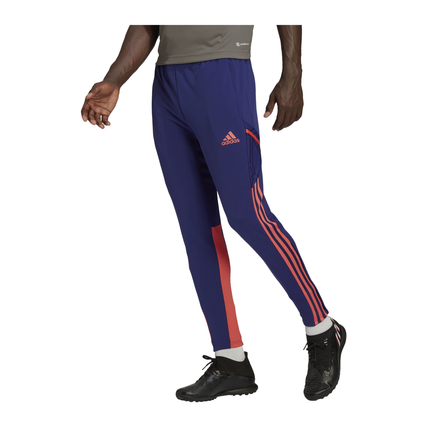 adidas Condivo Predator Trainingshose Blau Rot