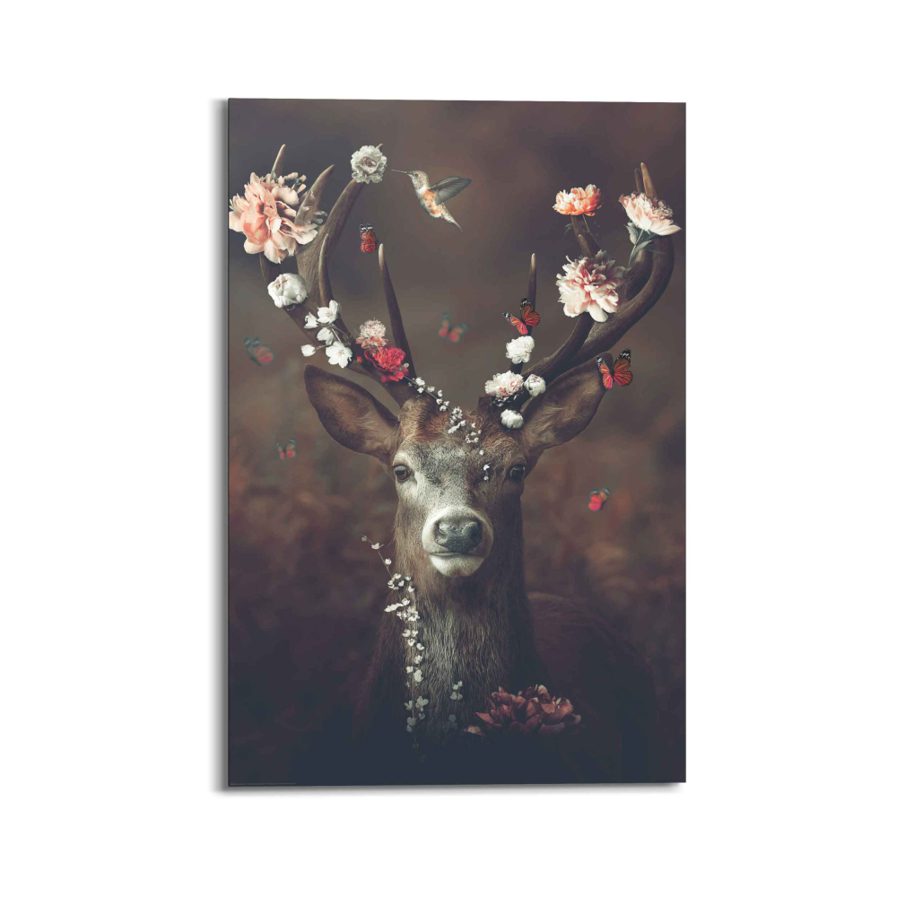 Bild Hirsch