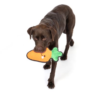 TIAKI Hundespielzeug Happy Carrot Tough