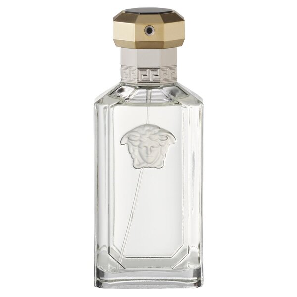 Versace The Dreamer jam tualetinis vanduo 100ml