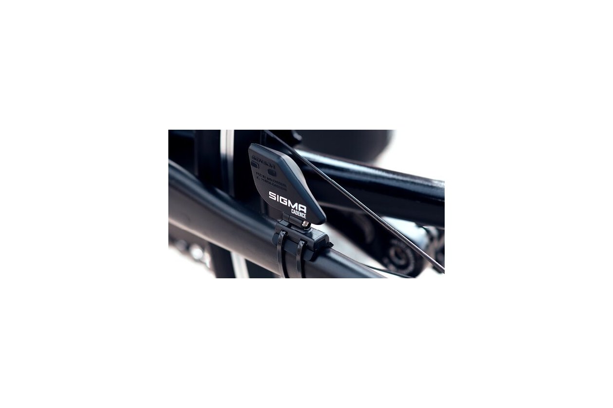 Sigma BC 12.0 WL STS CAD