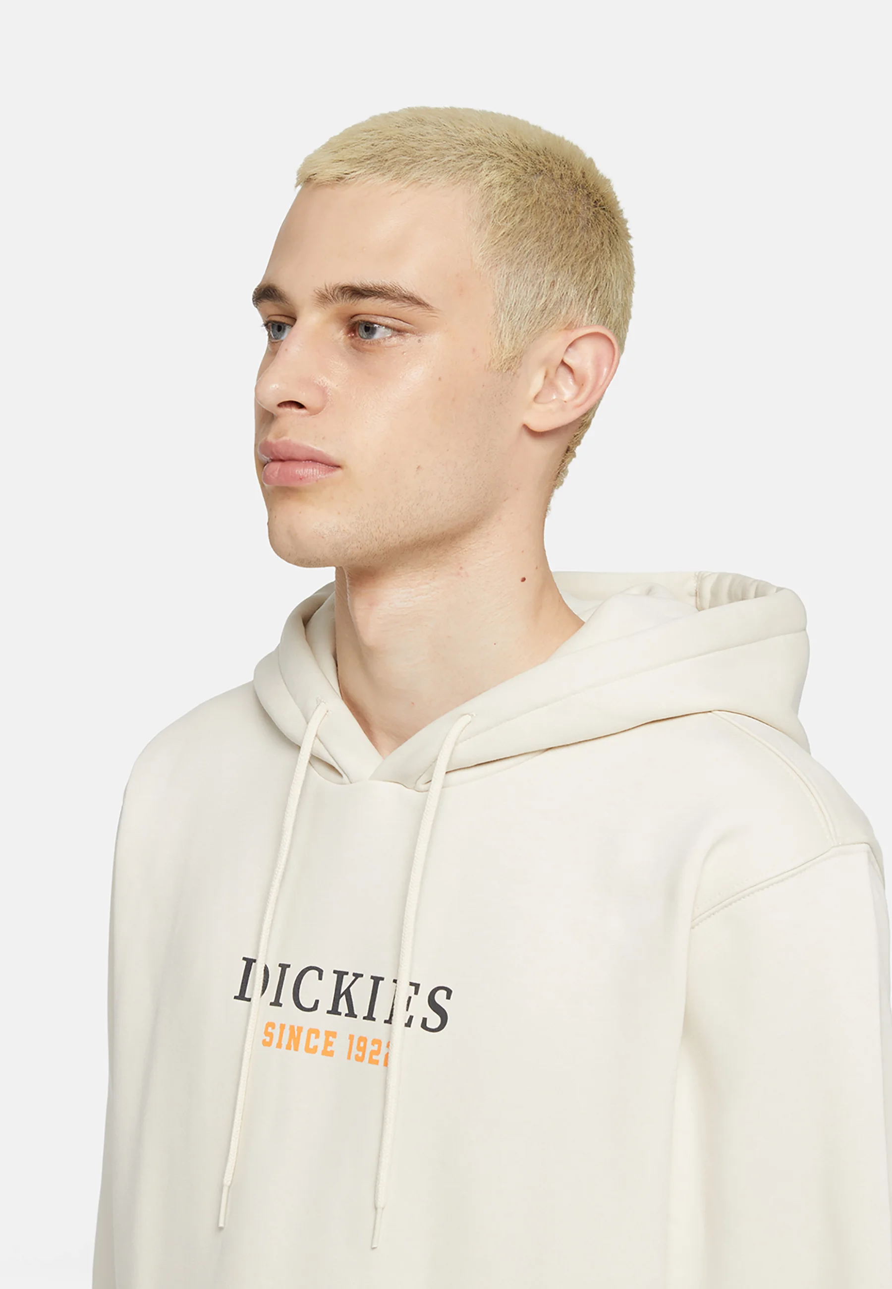 Sudadera con capucha Dickies PARK HOODIE