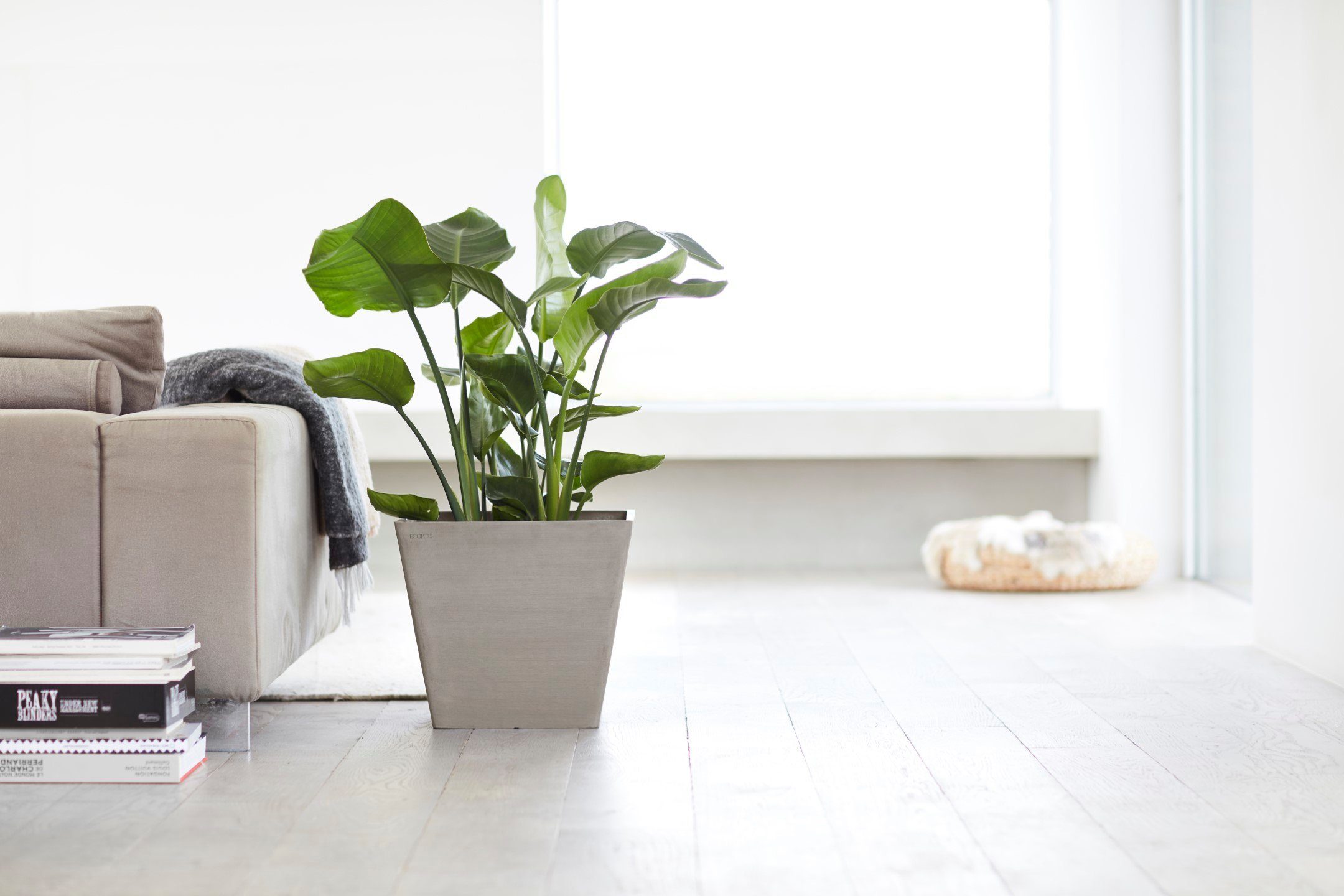 ECOPOTS Blumentopf ROTTERDAM Taupe, BxTxH: 40x40x35 cm