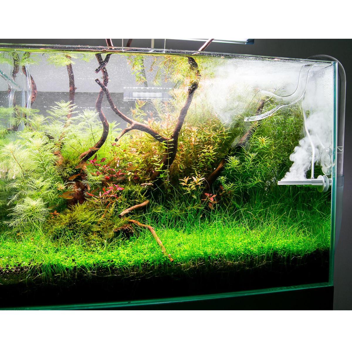 TWINSTAR 2 Aquarium-Sterilisator Nano günstig kaufen