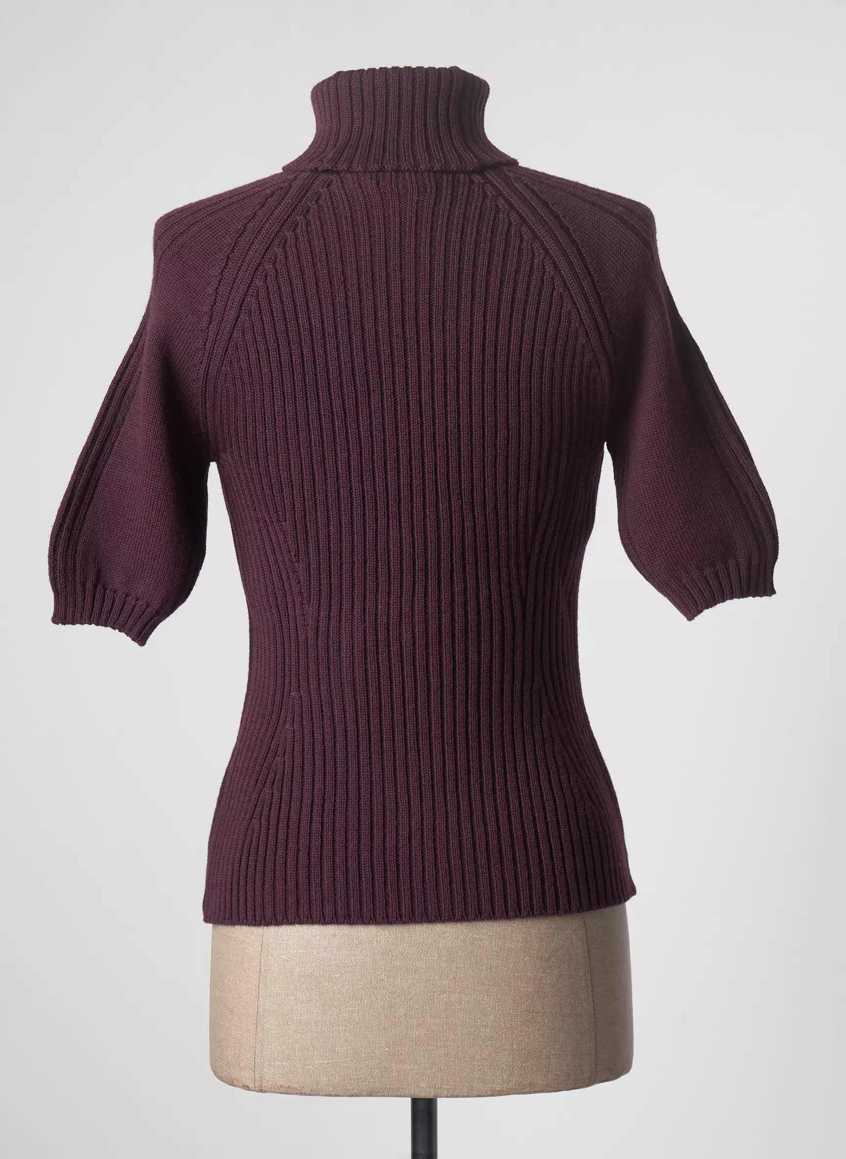 Stefan Green Cols Roules Femme couleur violet