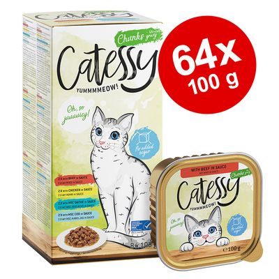 Mixpack Catessy Schälchen 64 x 100 g