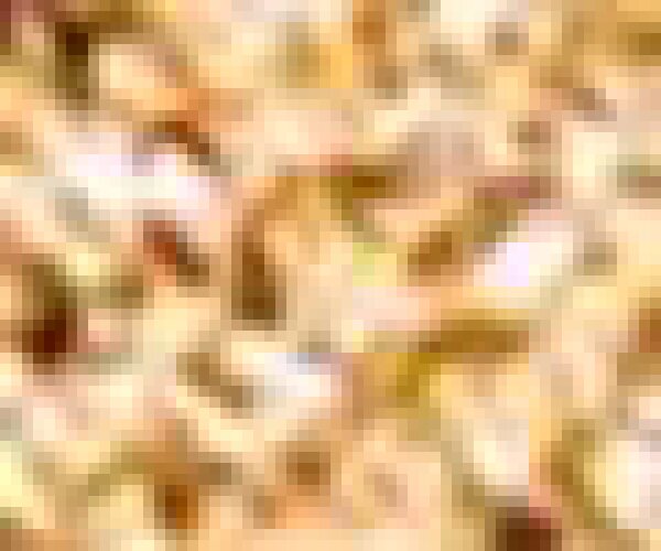 Stagecolor Cosmetics Lidschatten