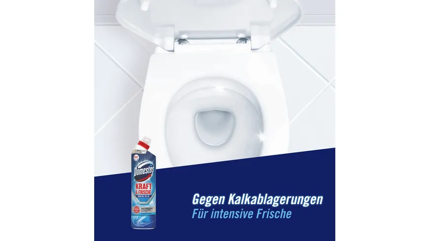 Domestos WC-Gel Kraft & Frische Ocean Fresh 0.75 l