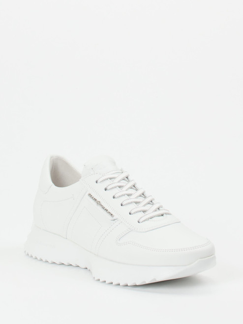 Sneaker-16637990279 Kennel & Schmenger