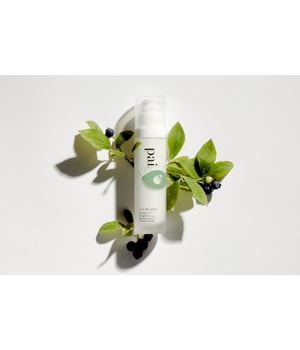 Pai Skincare C-2 Believe Vitamin C Brightening Moisturizer Gesichtscreme-50 ml