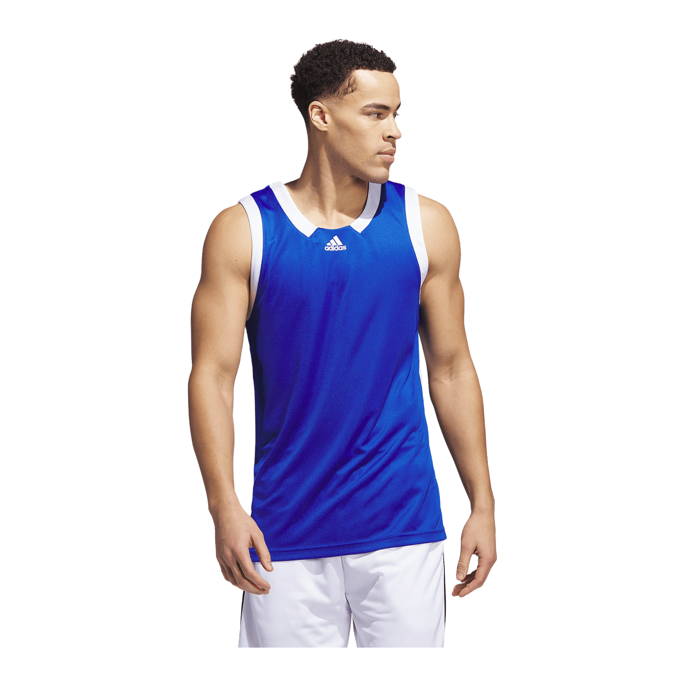adidas Iconic Squad Trikot Blau