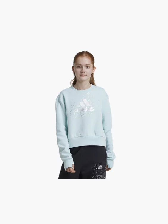 adidas Sweatshirt