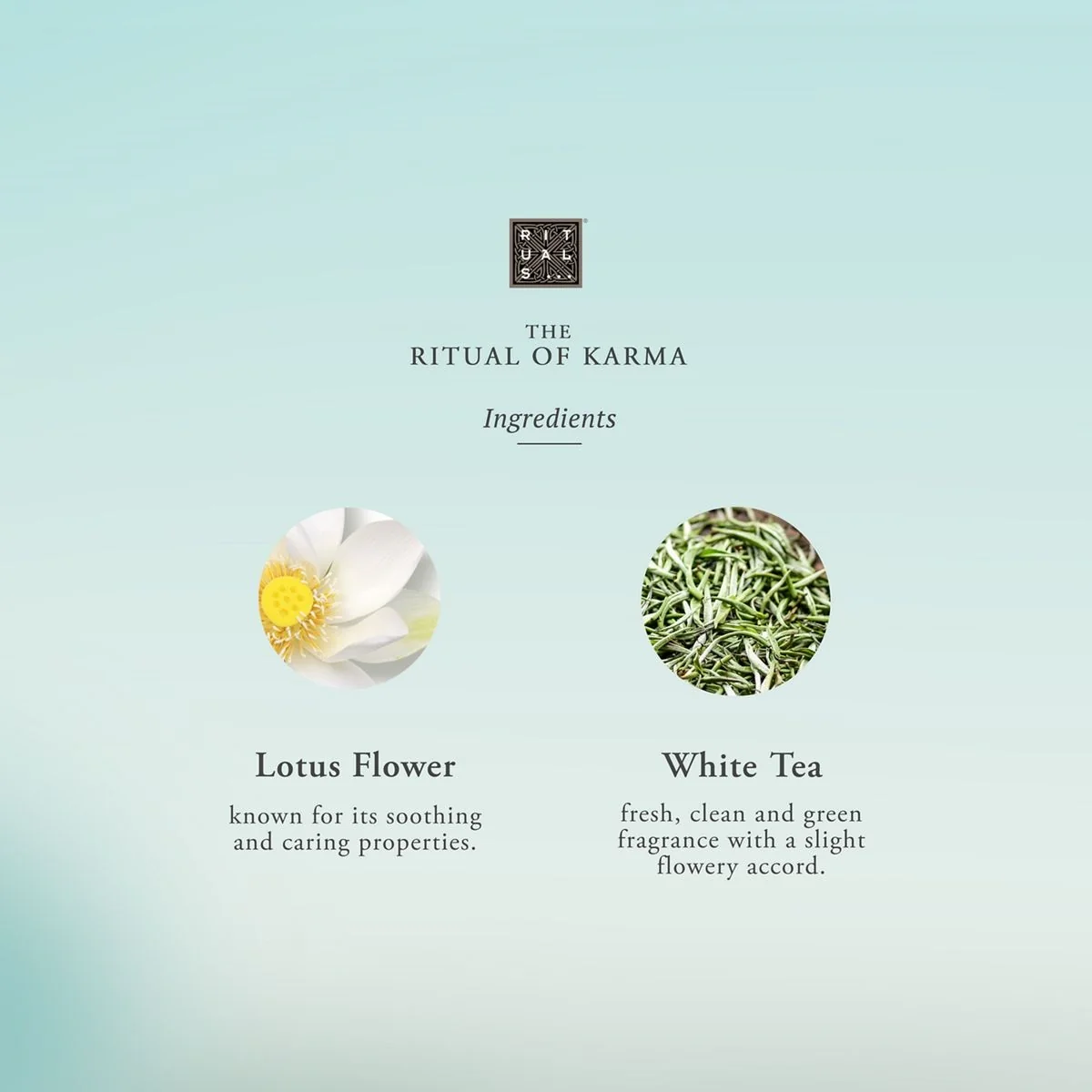Car Perfume The Ritual of Karma Car Perfume - Car Perfume