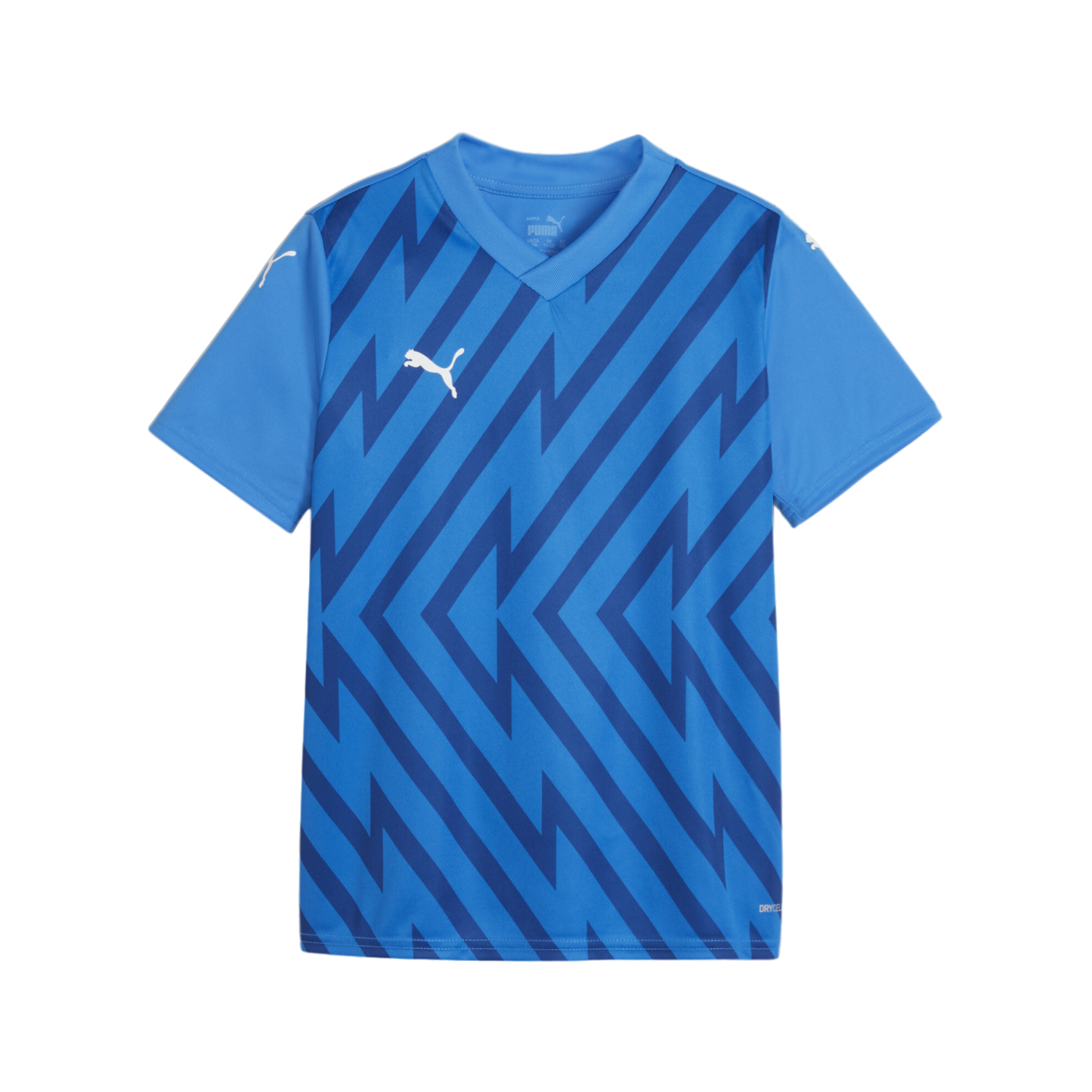 PUMA teamGLORY Trikot Kids Blau Weiss Blau F02