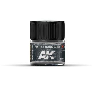 AK Real Colors AMT-12 Dark Grey (10ml)