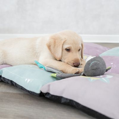 Trixie Junior Liegematte Patchwork