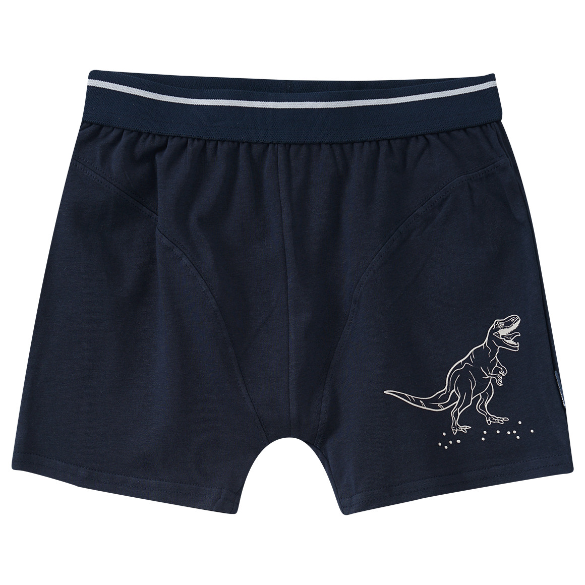 2 Jungen Boxer mit Dino-Motiv