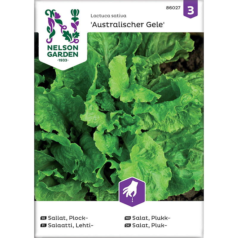 Nelson garden Frø Salat Plukk-, Australische Gele