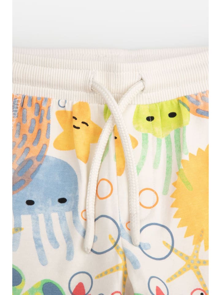 Coccodrillo Sporthose  in bunt günstig kaufen