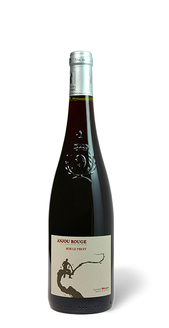 Loire Domaine Matignon Sur le Fruit Anjou  2018  75 cl - Rouge