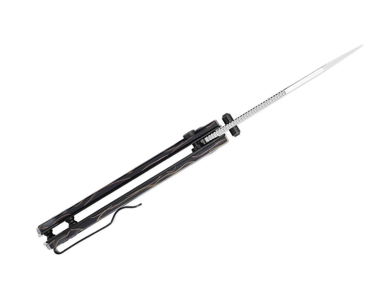 Begleiter2 Raffir