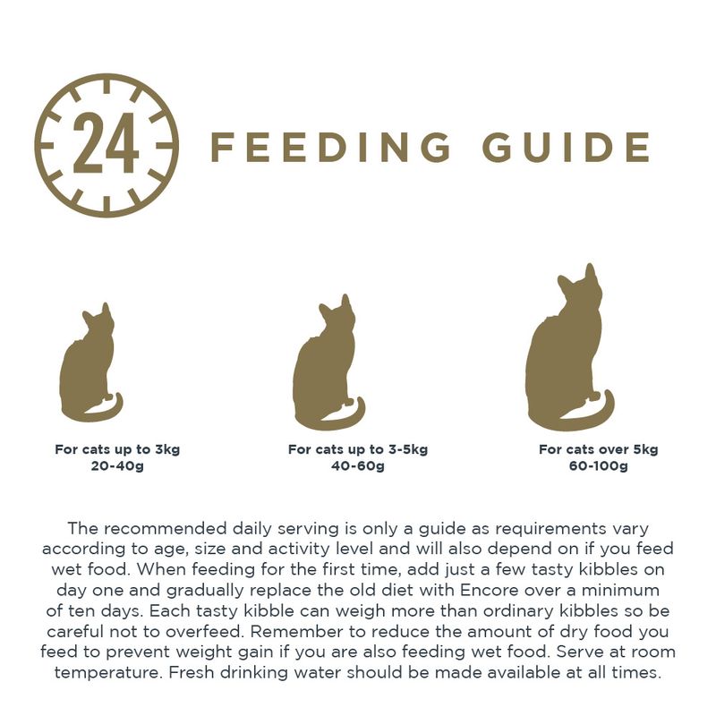 Encore Cat Huhn zu TOP-Preisen