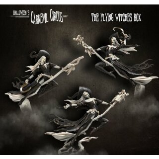 Flying Witches Box (CC - F)