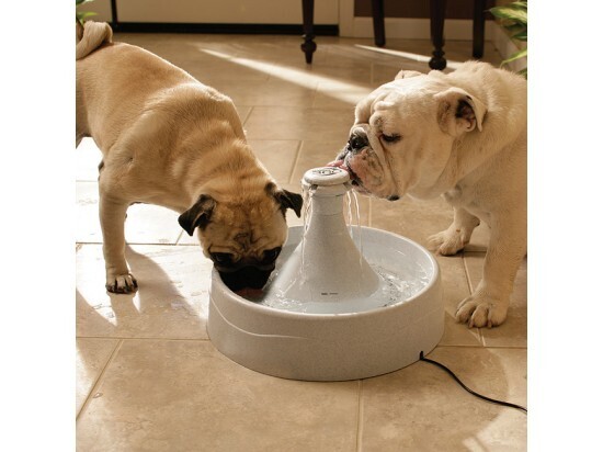 PetSafe Trinkbrunnen PetSafe Drinkwell Trinkbrunnen