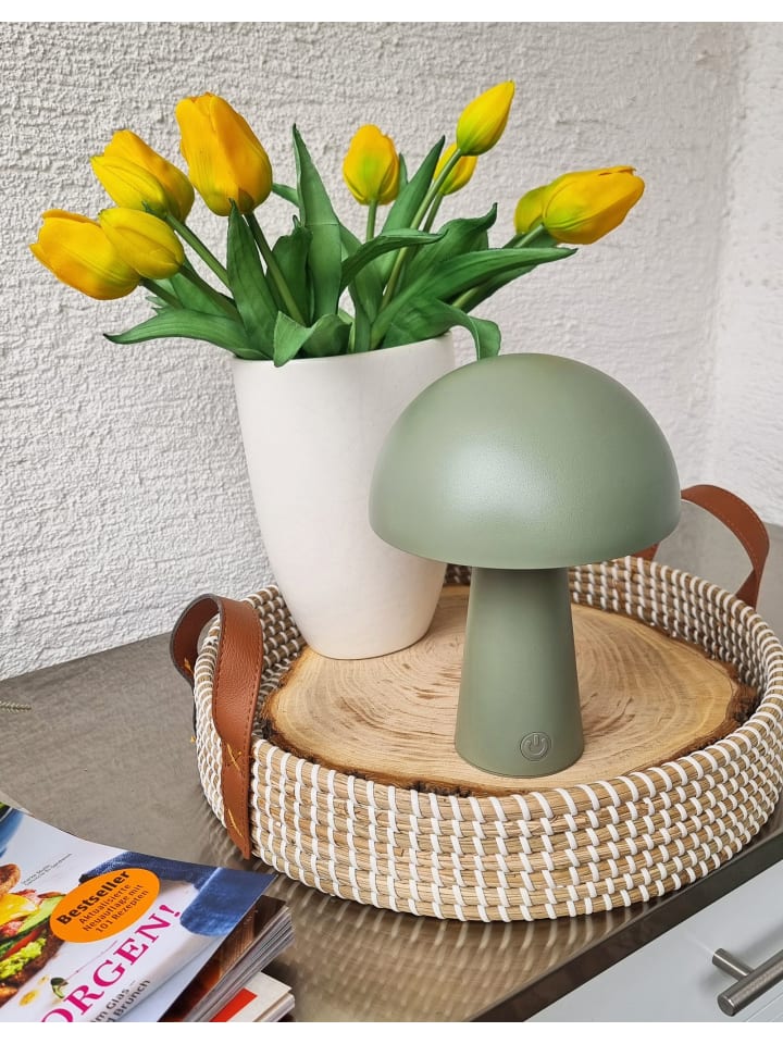 Coen Bakker LED Pilz Tischlampe dimmbar Touch Farbwechsler IP44 Innen Außen 15x21cm Grün günstig kaufen onesize