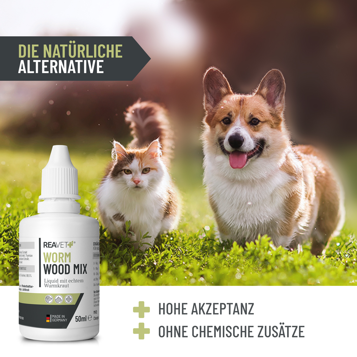 REAVET Ergänzungsfutter & Aufzucht REAVET Wormwood Mix Liquid 50ml