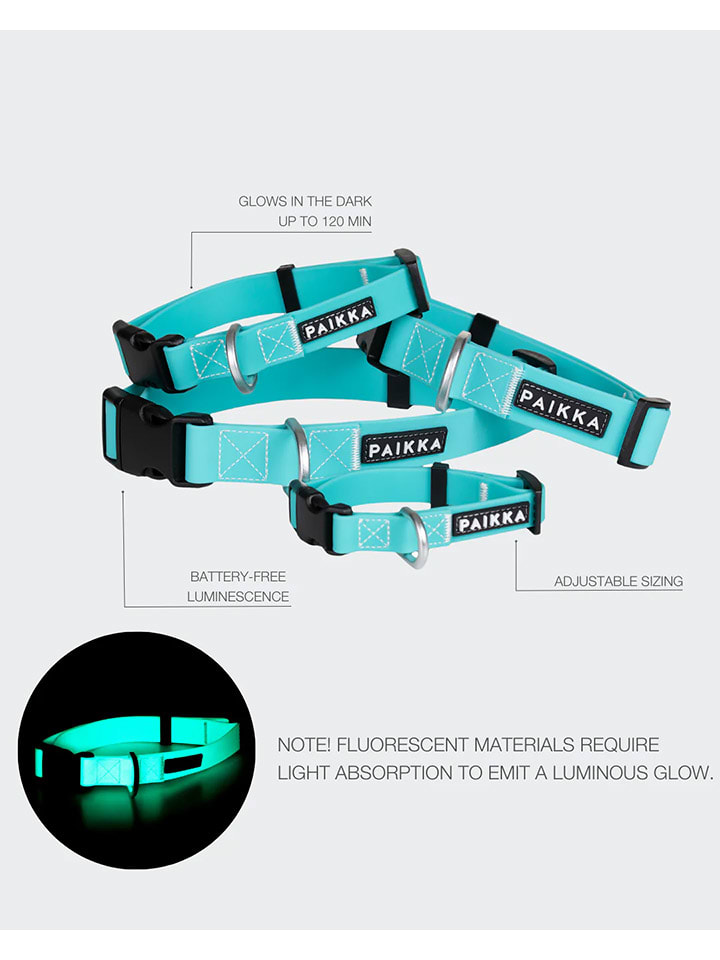 Paikka Halsband 