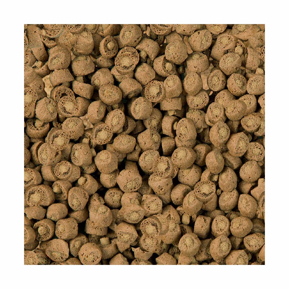 Sera Reptil Professional Carnivor Nature kaufen