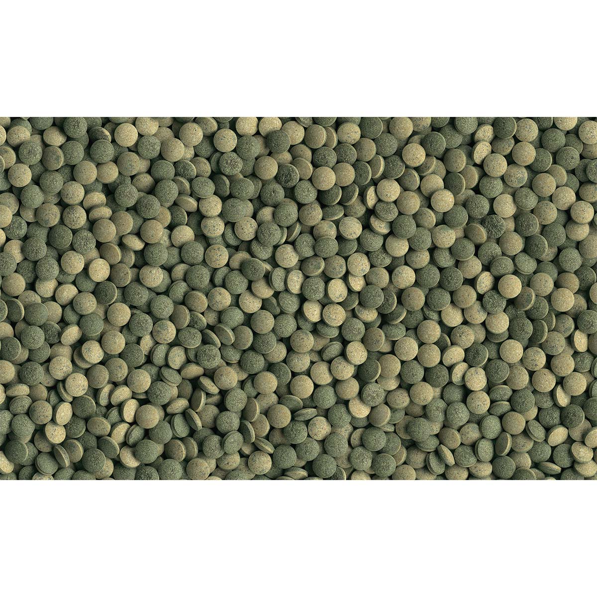 Tetra Pleco Tablets günstig kaufen