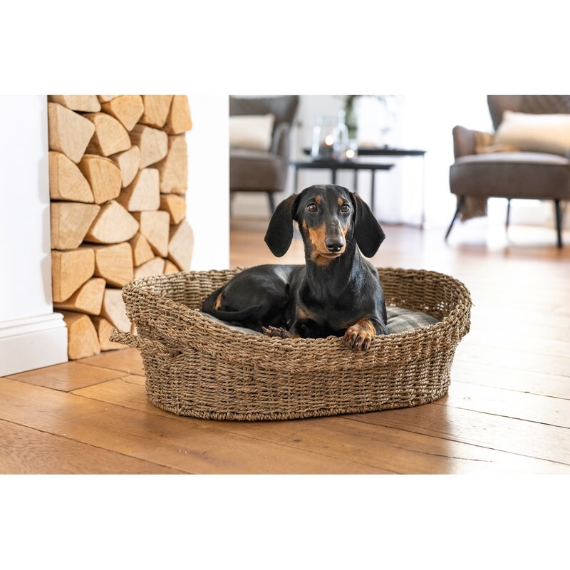 AniOne Hundekörbe AniOne Korbbett M