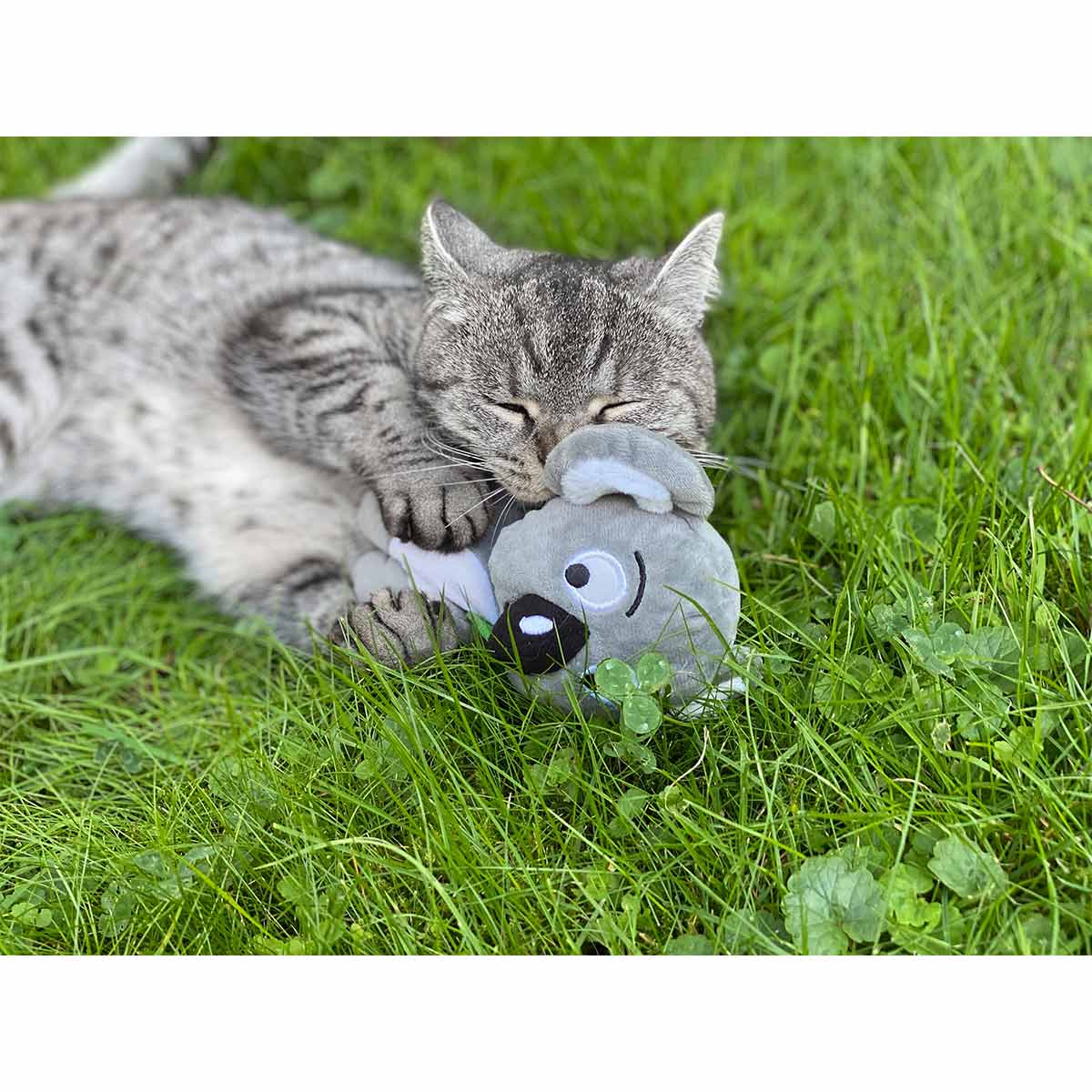 Aumüller Katzenspielzeug Koalabär Jack kaufen