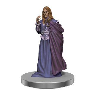 D&D Icons of the Realms: Curse of Strahd Miniaturen vorbemalt Denizens of Castle Ravenloft (7)