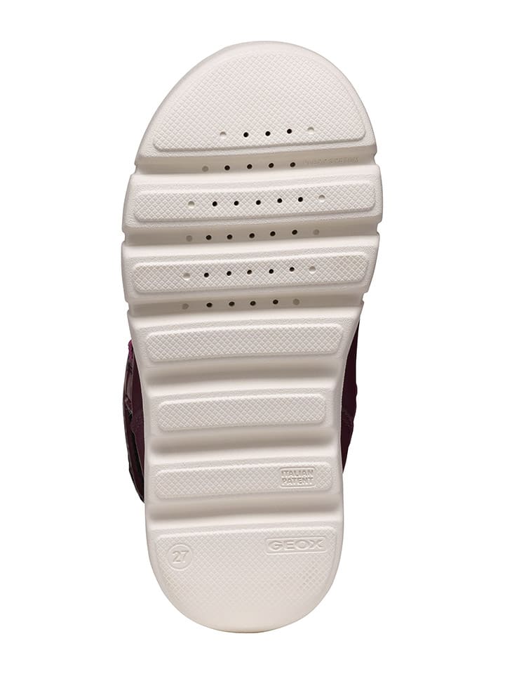 Geox Winterboots 