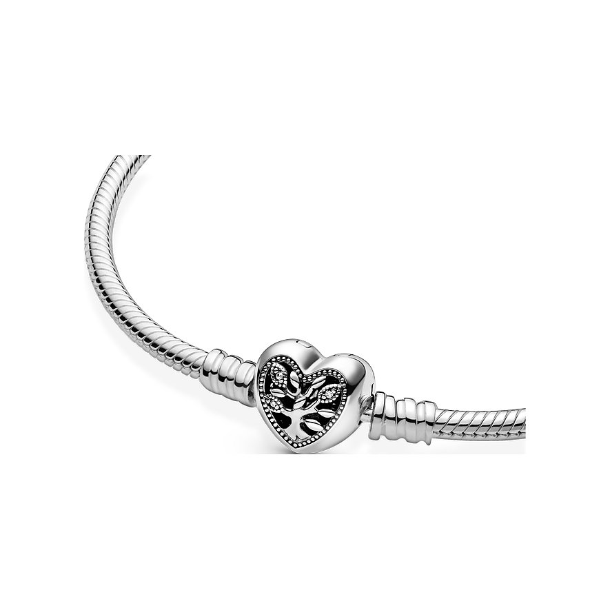 Pandora Armband Moments